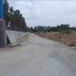 North City Phase 2 Road View