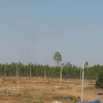 Bhagini Shubodaya Enclave Site view