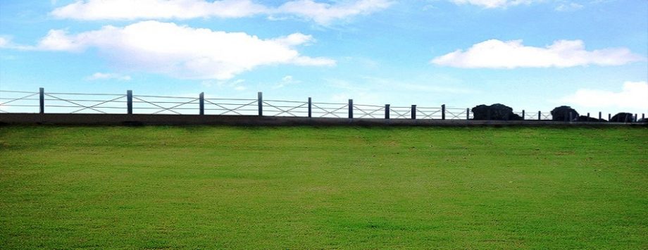 Cranberry Gardens Featured Image