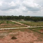Ferns Gardenia Plots