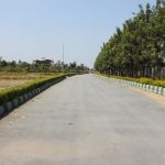 Ferns Manor Avenues