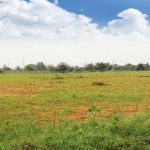 Krishna Greens Midlake Phase 2 Plot View
