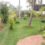 Maxconcorde Sri Sai Meadows Site view