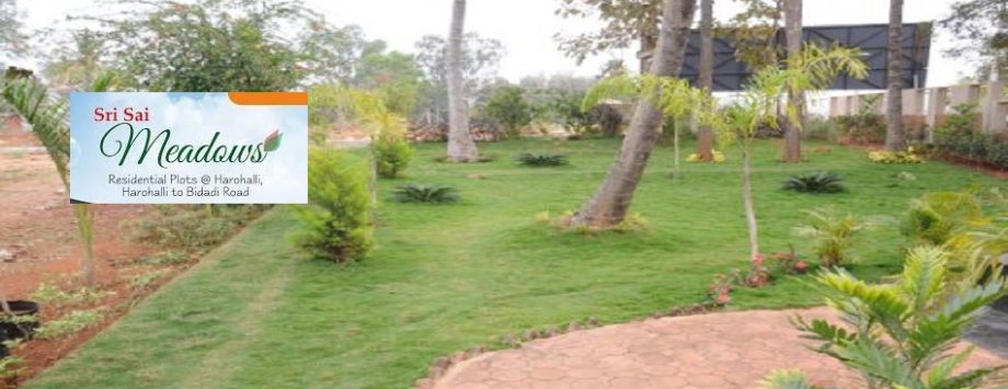 Maxconcorde Sri Sai Meadows