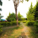 Mist Valley Gardening
