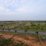 Mist Valley Plot View