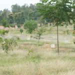 NBR Orange County Site View