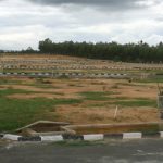 Nakshatra Morganite Plot View