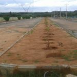 Nakshatra Morganite Road View