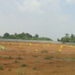 Pavan Brundavan Plots