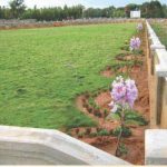 Prasanthi Green County Garden view
