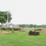 Prisha Golden Valley Landscapes
