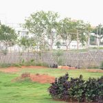 Prisha Golden Valley Plantations