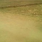 TGS Padmavathi plots
