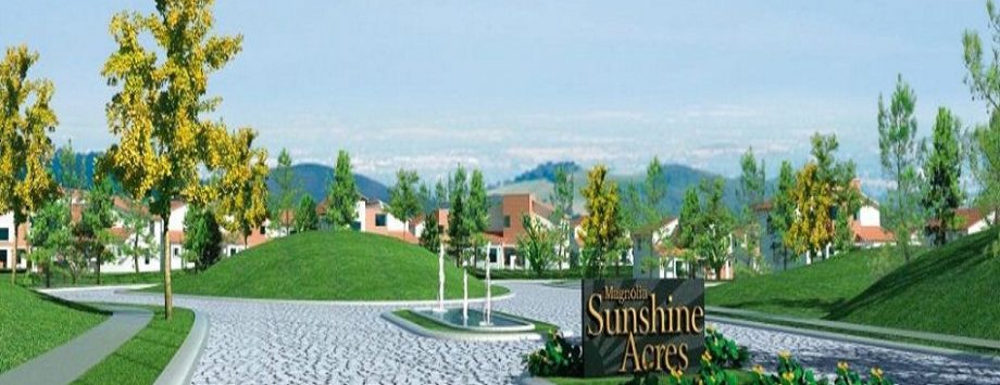 Magnolia Sunshine Acres