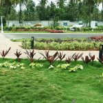 Cornerstone Campan Valley Landscapes