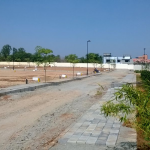 The Signature Plot View